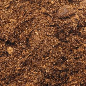 terreau spécial cannabis