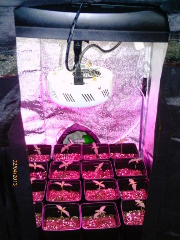 Cultivo en armrio de 0.50m2