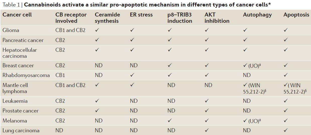 Les cannabinoïdes provoquent l'apoptose de nombreux types de cellules cancéreuses.