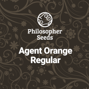 Agent Orange - Regular