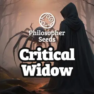 Critical Widow 
