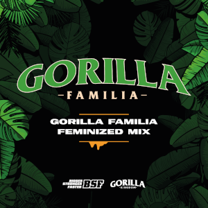 Gorilla Kingdom Familie Mix