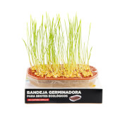 Batlle Sprouting Tray 