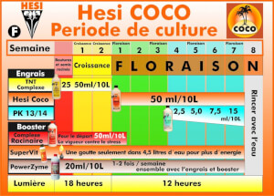 HESI Coco - Crecimiento y Floración