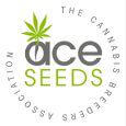 Ace Seeds y Dj Short disponibles
