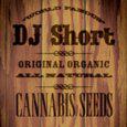 logo_djshort