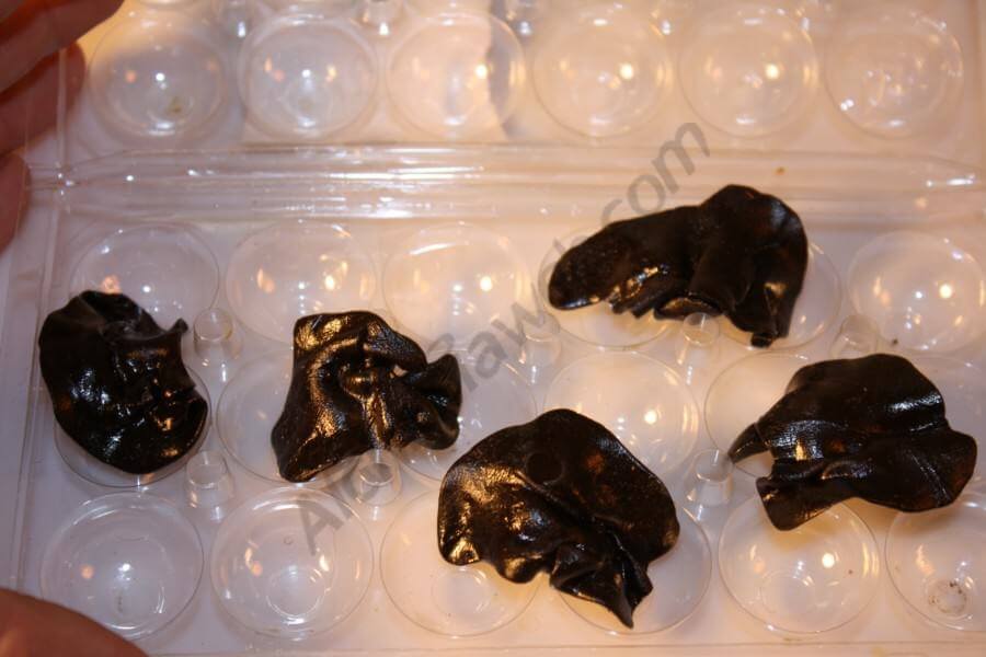 Muestras de K13 Cream