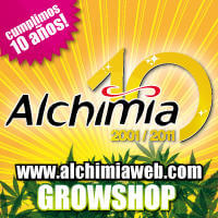 Alchimia Grow Shop: Hoy 28 de abril de 2011 cumplimos 10 años