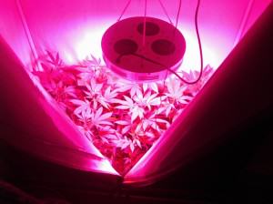 Lámapa Led UFO