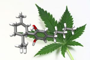 Noticias del cannabis medicinal, enero 2013