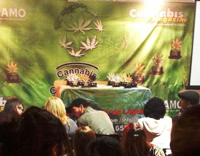 Premios Cannabis Champions Cup 2013