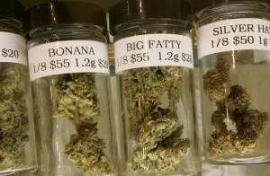La marihuana deberá estar debidamente etiquetada.