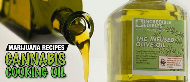 Extracción de cannabinoides con aceite de oliva