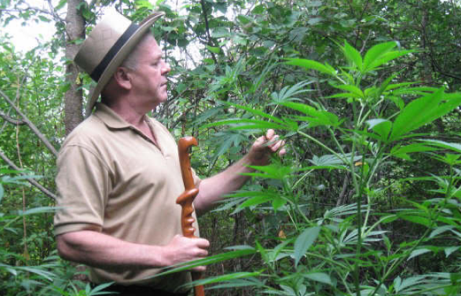 El aceite de marihuana de Rick Simpson