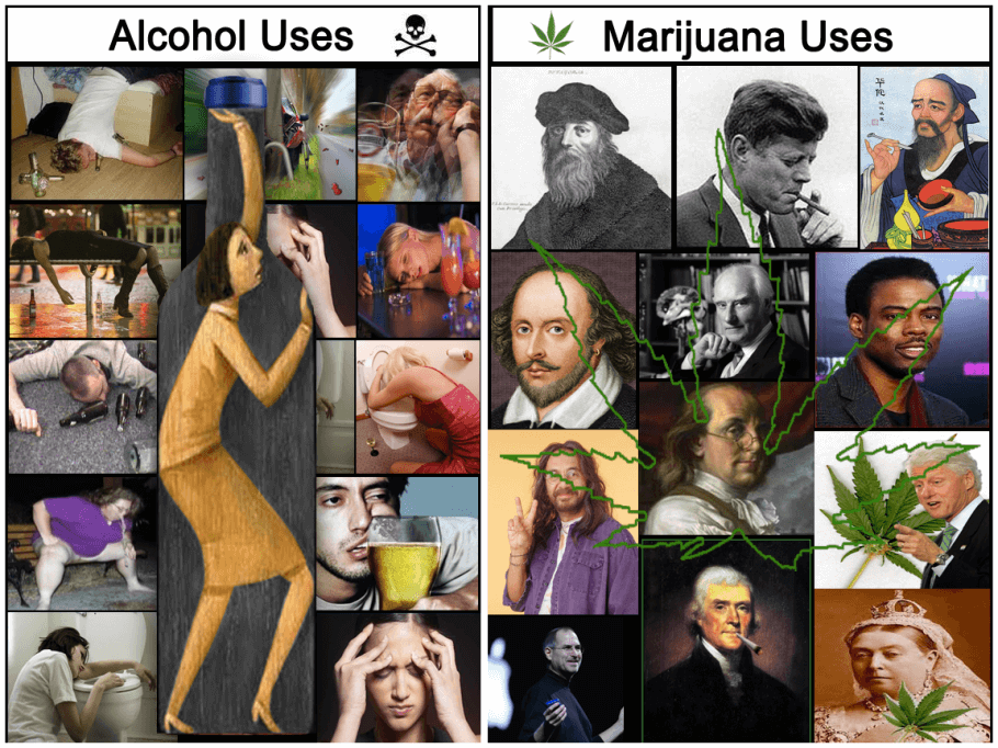 Alcohol Vs Cannabis 
