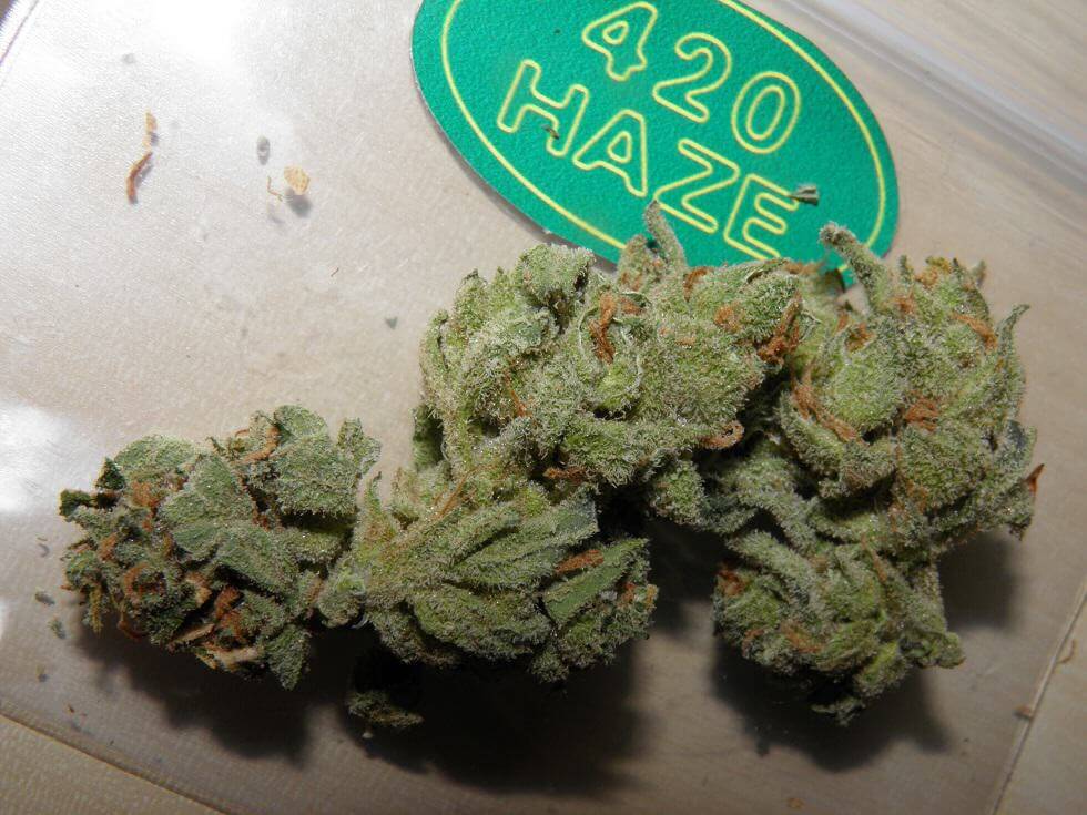 420 Haze de 420 Caffe