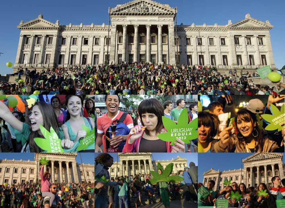 Consumidores reunidos para festejar la legalización de la marihuana en Uruguay