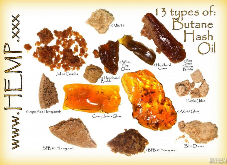 Variaciones de BHO según variedad