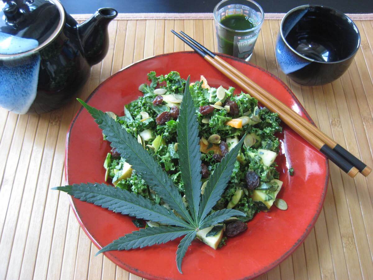 Кулинария конопля купить семена томатов и огурцов