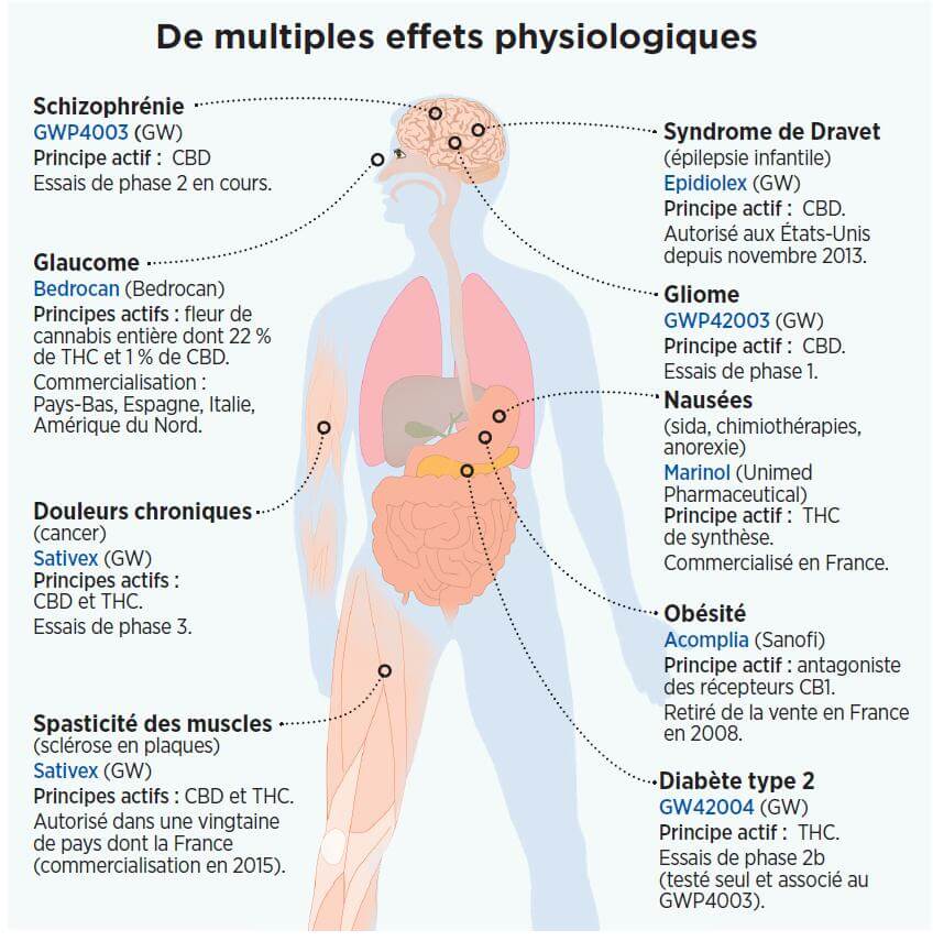 Noticias del cannabis medicinal, Julio 2014