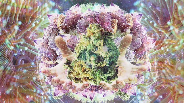 Tote Orozco - Cannabis y creatividad
