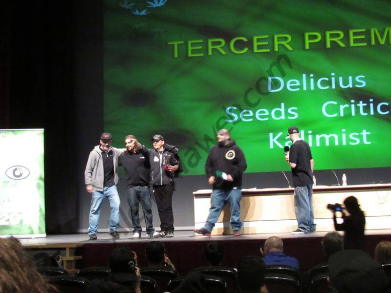 Delicious Seeds ? Critical Kalimist