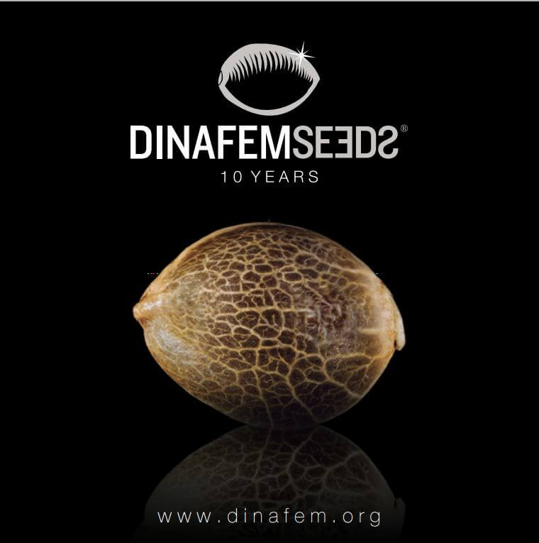 10 aniversario de Dinafem