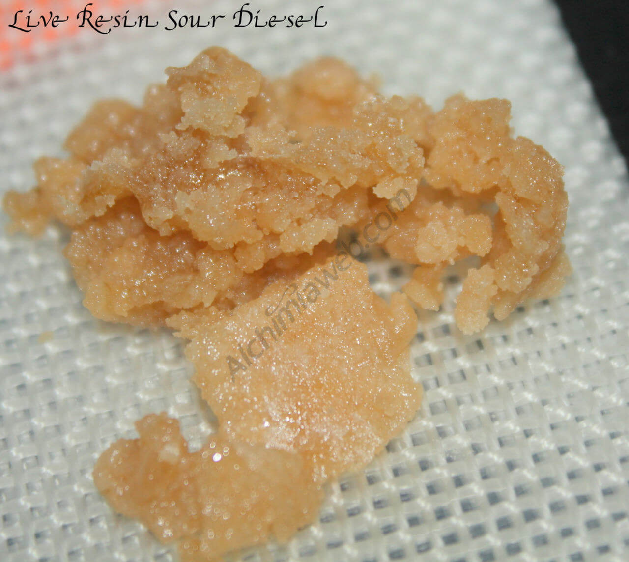 Live Resin, Holy Water, Terp Sarp