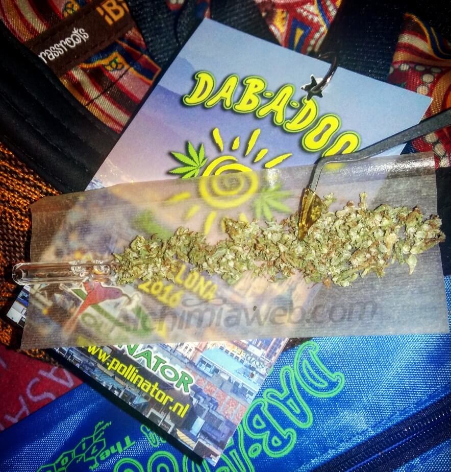 Dabadoo ? Flame Off ? Summer Gathering 2016