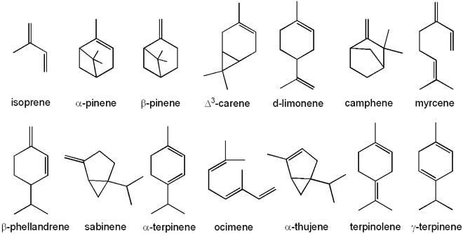 Algunos de los terpenos del cannabis