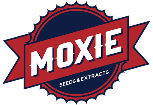 Moxie Seeds, semillas de cannabis 