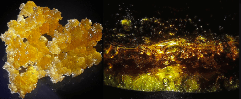 extracciones-concentrados-cannabis-solvente