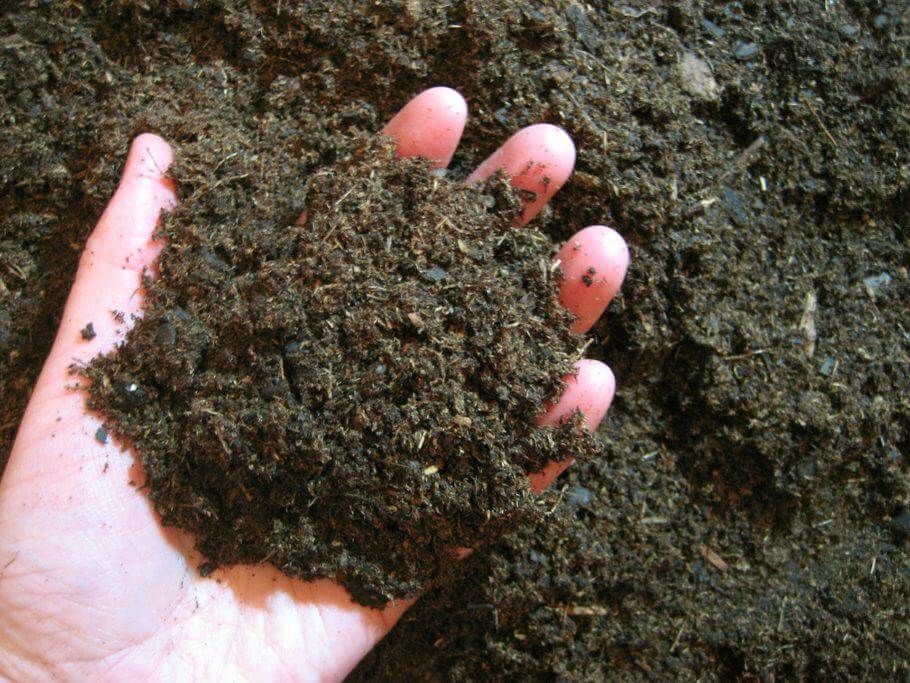 Un suelo sano es indispensable para una cosecha generosa