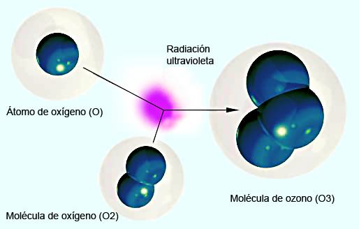 La molécula del ozono (O3) está compuesta por tres átomos de oxígeno (O2) formada al disociarse los dos átomos que componen el oxígeno.