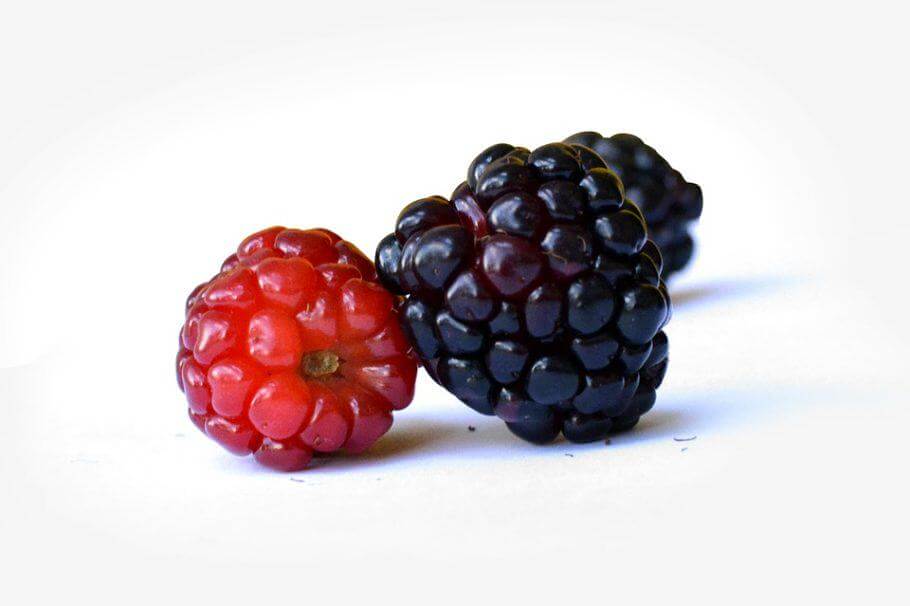Forest fruits contain a large quantity of anthocyanins