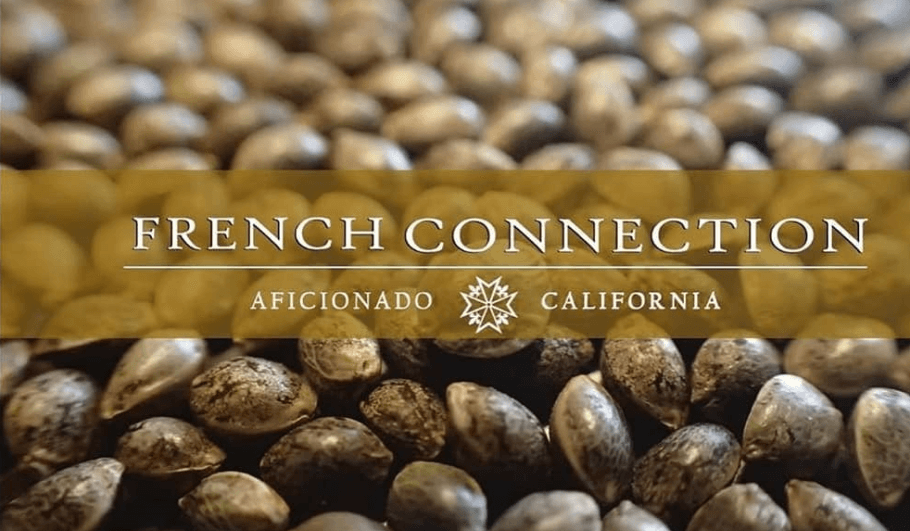 Aficionado French Connection, de California a Europa