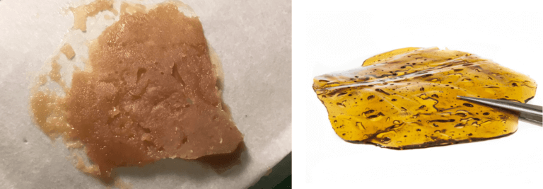 Rosin vs. BHO...¿qué concentrado de resina es mejor?