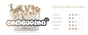 Psicolybe Cambodian XP