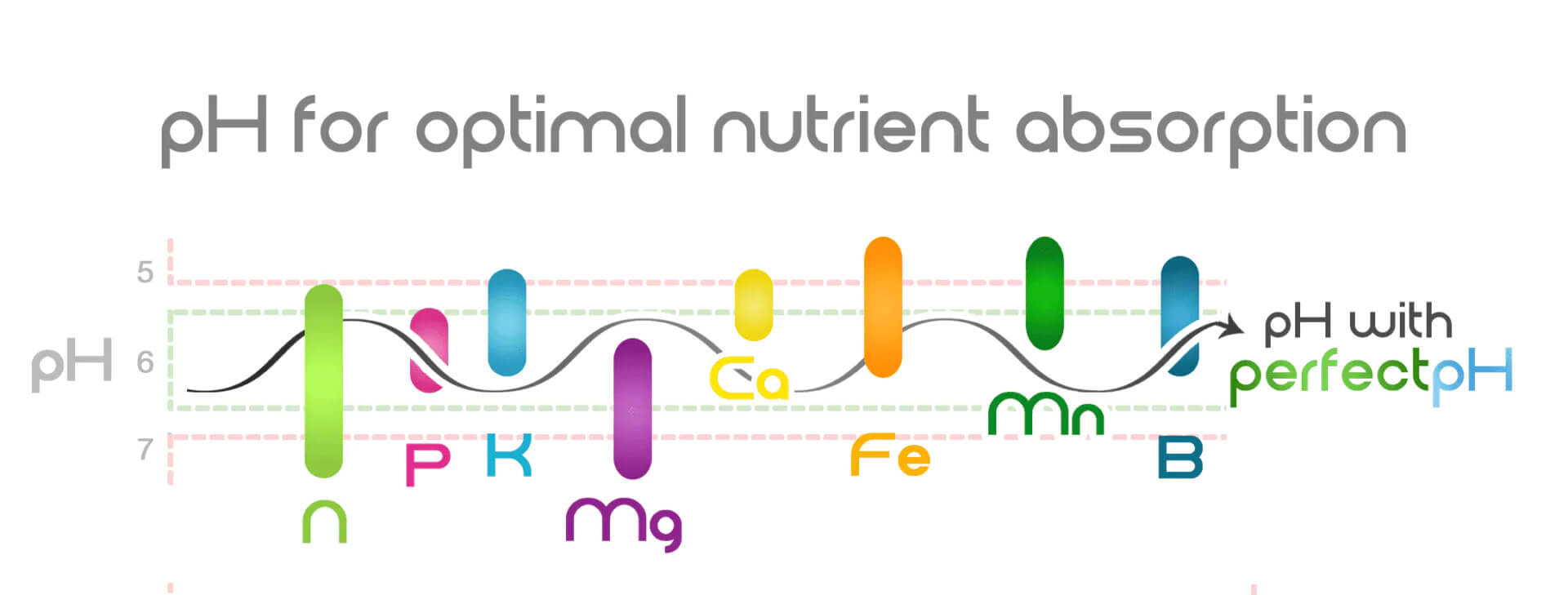 El pH y los nutrientes en el cannabis