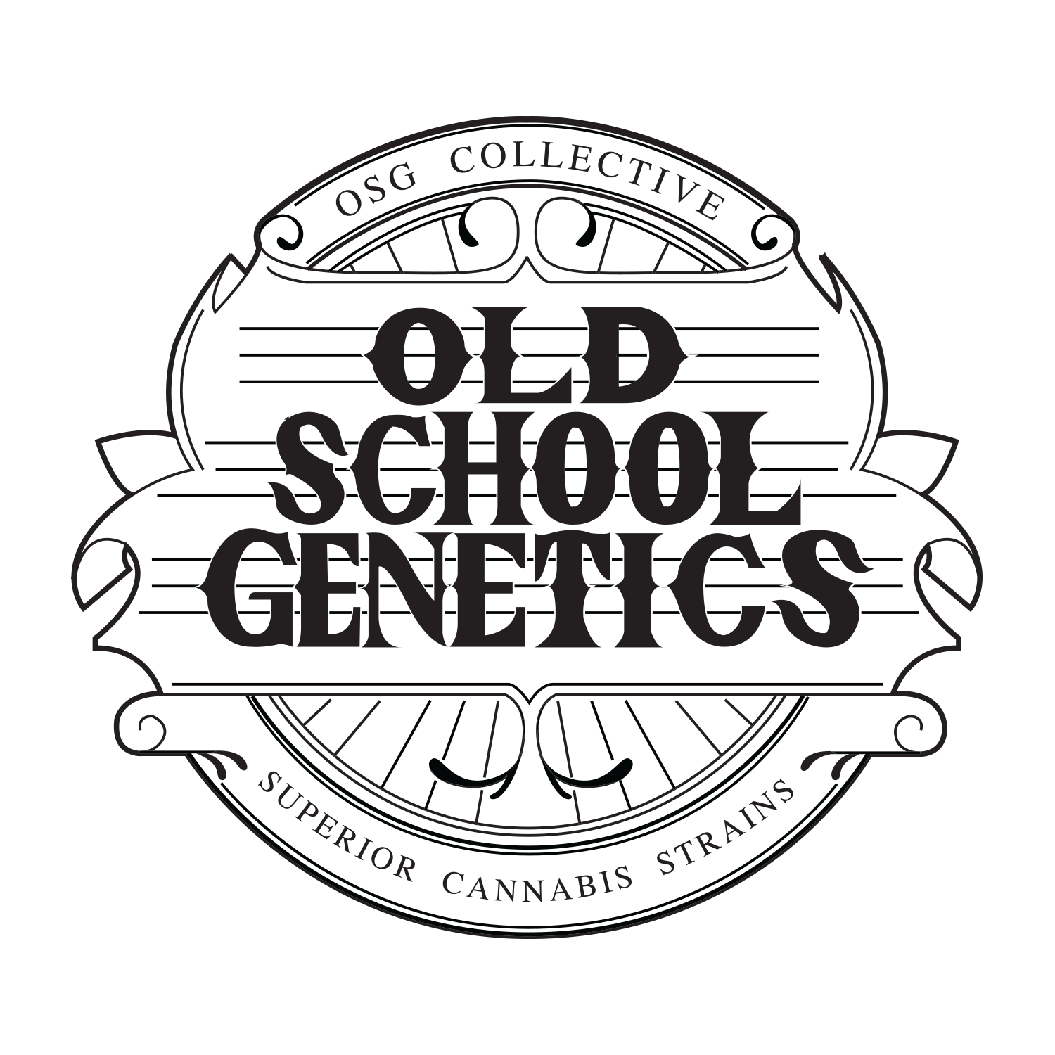 Old School Genetics ya disponible en Alchimia