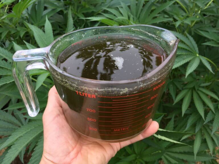 Té de compost y cultivo de cannabis