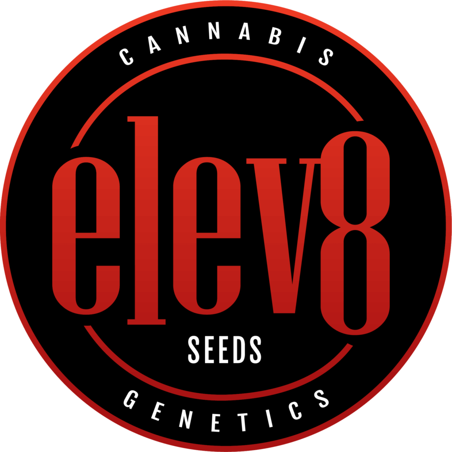 Elev8 Seeds, variedades de cannabis de calidad top