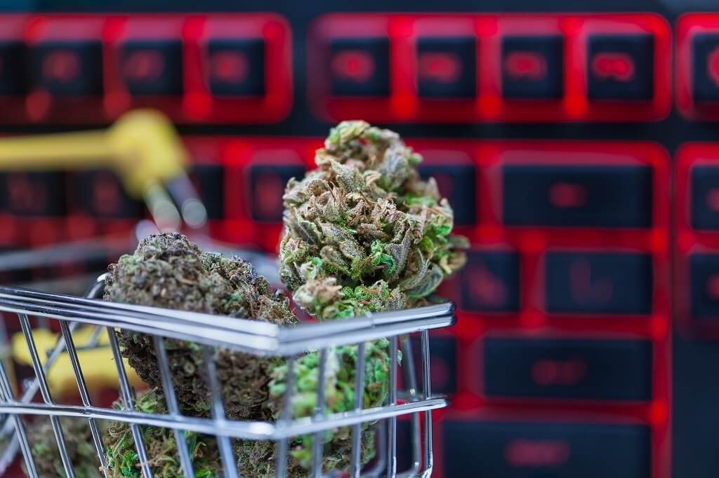 ¿Qué fue lo primero que se vendió por internet? ¡Marihuana por supuesto!