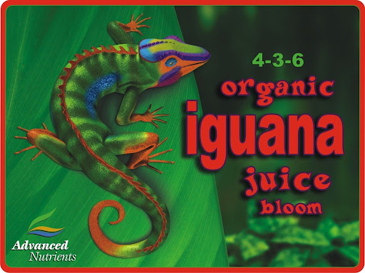 Iguana Juice es un excelente abono orgánico