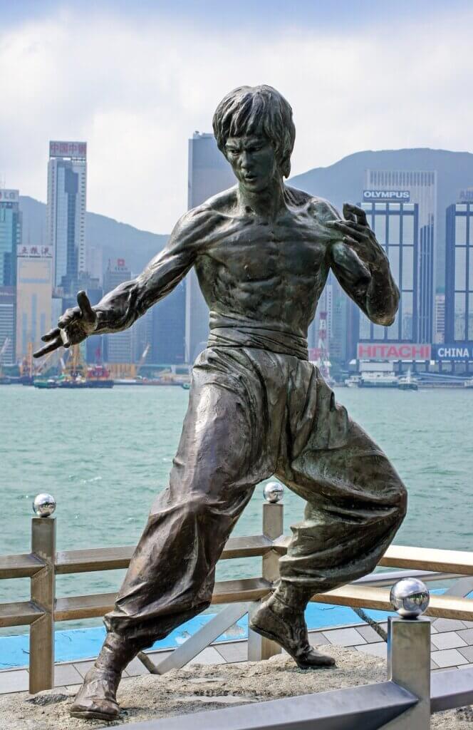 La estatua fue inaugurada el 27 de noviembre de 2005 por el hermano de Bruce Lee, Robert Lee, celebrando el que habría sido el 65 cumpleaños de este mito de la cultura popular