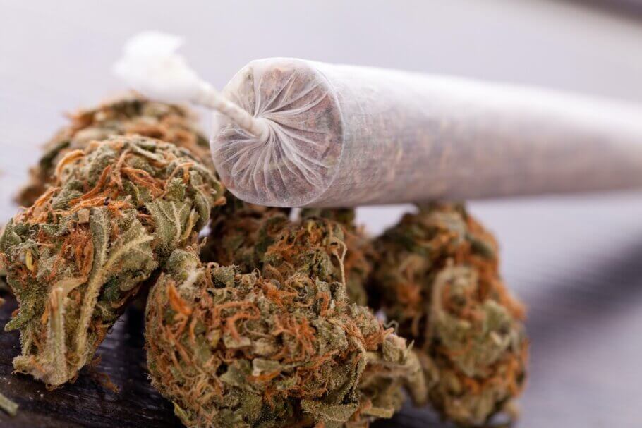The effects of mixing marijuana with tobacco- Alchimia Grow Shop