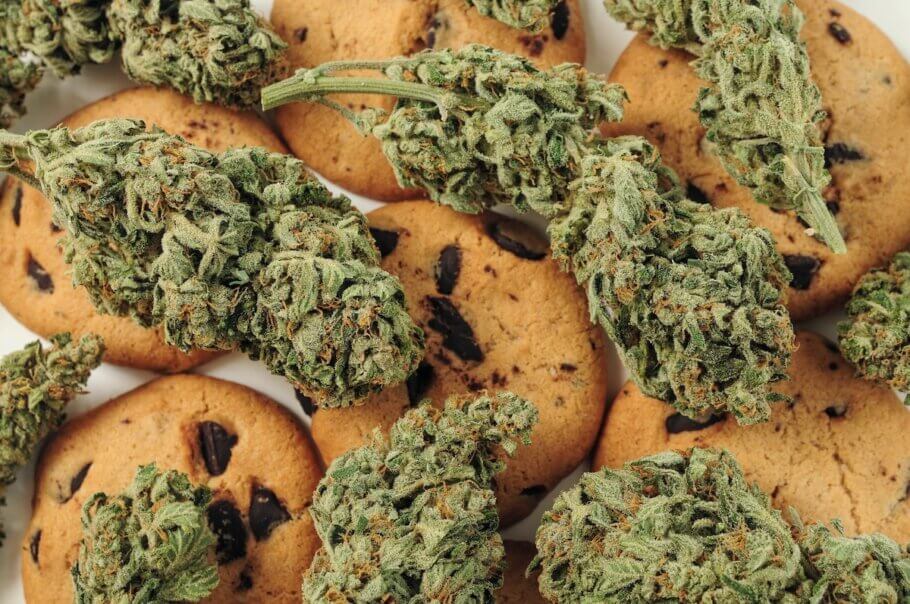 In the same way that the ‘Ocean Grown’ varieties (such as OG Kush) dominated the market in the past decade, Girl Scout Cookies emerged to provide cannabis lovers with a selection of super sweet flavours that are destined to live on for many years.