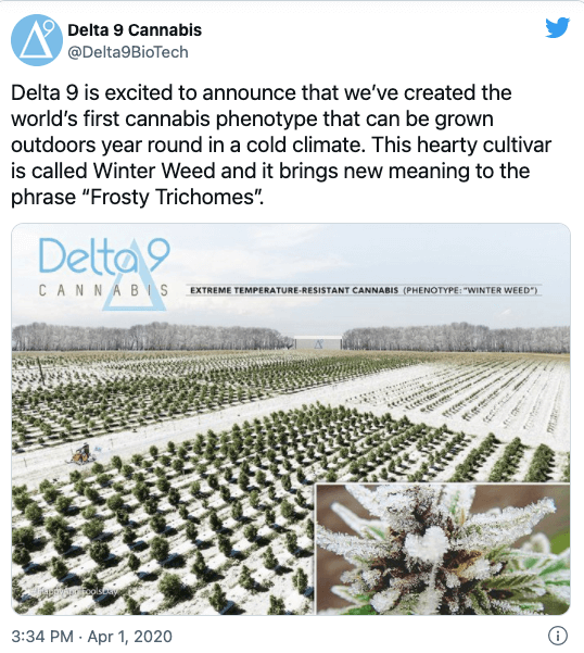 La publicación de Delta 9 Cannabis sobre su hierba de invierno