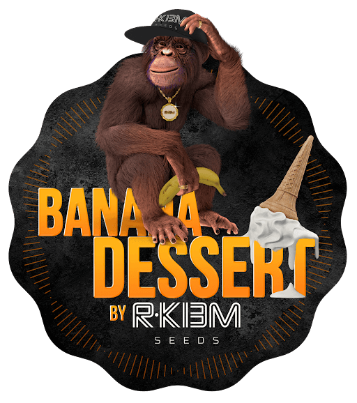R-Kiem Seeds nos cuentan todo sobre Banana Dessert