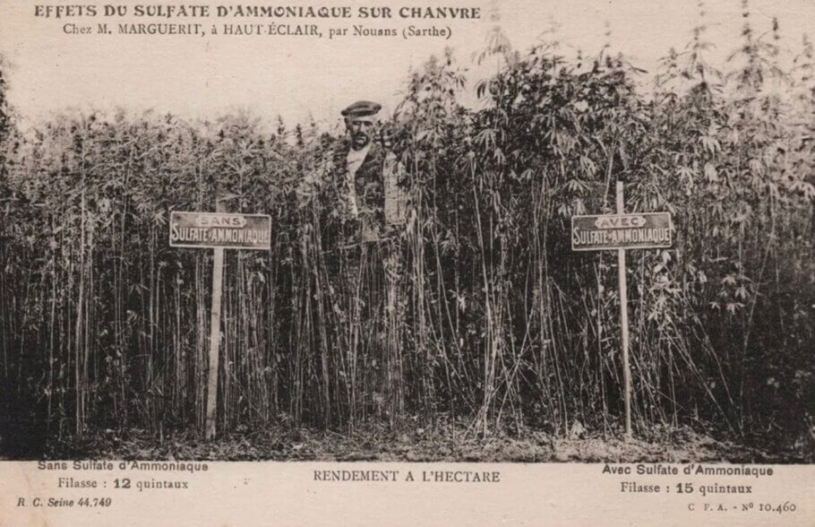 Postal 'efectos del sulfato de amoníaco en el cáñamo', Haut Éclair, Francia 1890